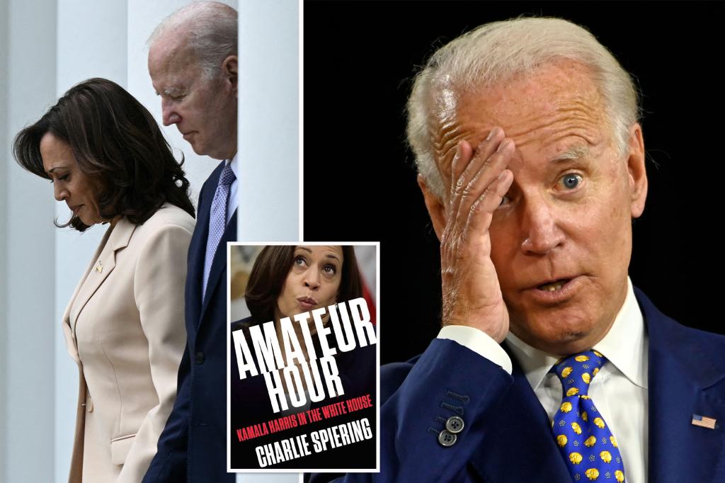 Biden knows VP Harris ânot up to the job,â preferred Gretchen Whitmer as ‘20 running mate: book